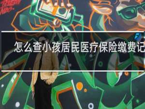 怎么查小孩居民医疗保险缴费记录