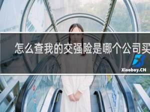 怎么查我的交强险是哪个公司买的