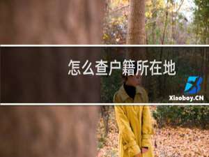 怎么查户籍所在地（怎么查户籍所在地）