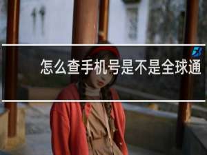 怎么查手机号是不是全球通