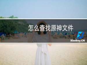 怎么查找原神文件