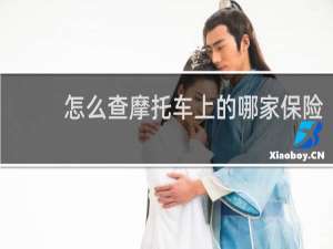 怎么查摩托车上的哪家保险