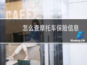 怎么查摩托车保险信息