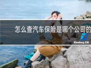 怎么查汽车保险是哪个公司的