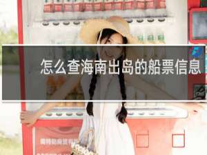 怎么查海南出岛的船票信息
