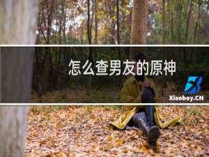 怎么查男友的原神