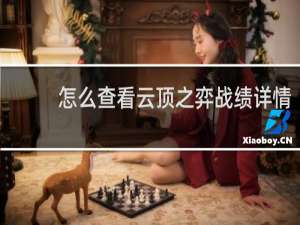 怎么查看云顶之弈战绩详情