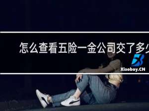 怎么查看五险一金公司交了多少