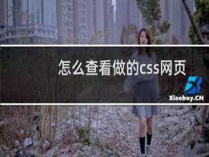 怎么查看做的css网页