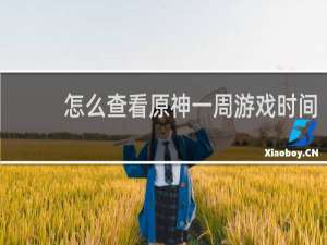 怎么查看原神一周游戏时间