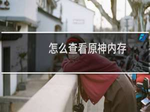 怎么查看原神内存
