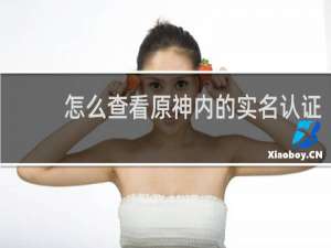 怎么查看原神内的实名认证