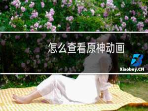 怎么查看原神动画