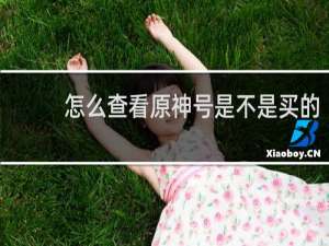 怎么查看原神号是不是买的
