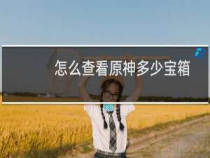 怎么查看原神多少宝箱