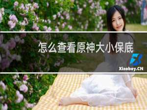 怎么查看原神大小保底