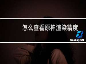 怎么查看原神渲染精度