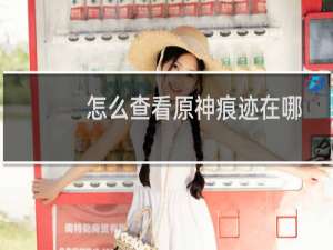 怎么查看原神痕迹在哪