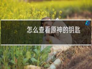 怎么查看原神的钥匙