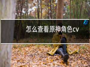 怎么查看原神角色cv