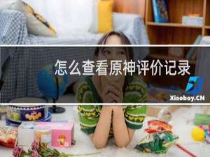 怎么查看原神评价记录