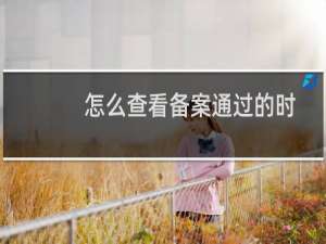 怎么查看备案通过的时间具体是哪天？