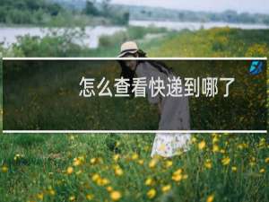 怎么查看快递到哪了