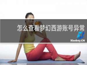 怎么查看梦幻西游账号异常
