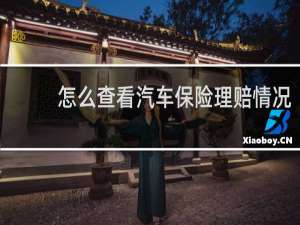 怎么查看汽车保险理赔情况