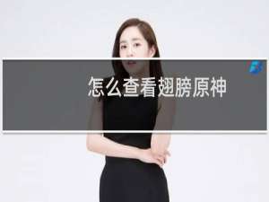 怎么查看翅膀原神