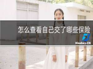 怎么查看自己交了哪些保险