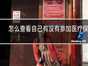 怎么查看自己有没有参加医疗保险