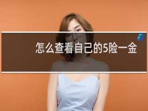 怎么查看自己的5险一金