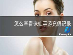 怎么查看诛仙手游充值记录