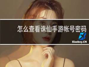 怎么查看诛仙手游帐号密码