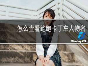 怎么查看跑跑卡丁车人物名
