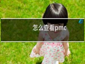 怎么查看pmc