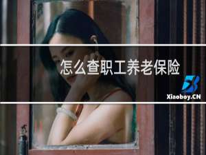 怎么查职工养老保险