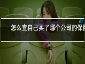 怎么查自己买了哪个公司的保险