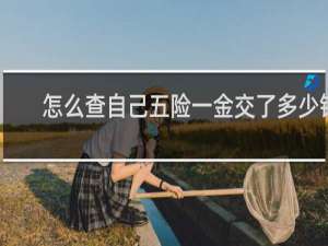 怎么查自己五险一金交了多少钱