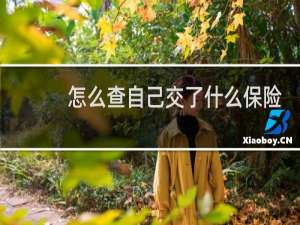 怎么查自己交了什么保险