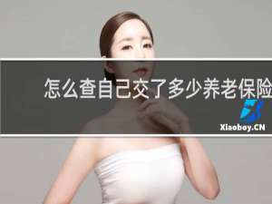 怎么查自己交了多少养老保险