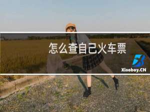 怎么查自己火车票
