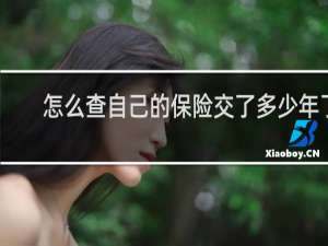 怎么查自己的保险交了多少年了