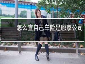 怎么查自己车险是哪家公司
