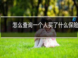 怎么查询一个人买了什么保险