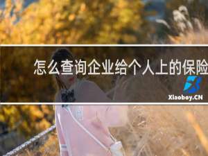 怎么查询企业给个人上的保险