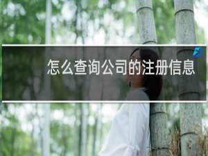 怎么查询公司的注册信息