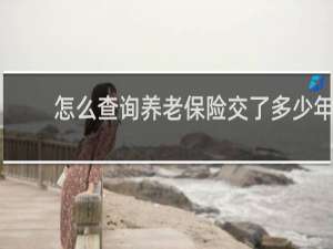 怎么查询养老保险交了多少年