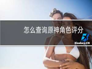 怎么查询原神角色评分